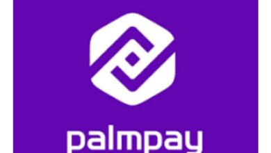 Job Recruitment at PalmPay Limited