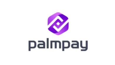 Job Recruitment at PalmPay Limited - Apply Now